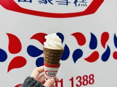 -富豪雪糕车流动点(尖沙咀店)