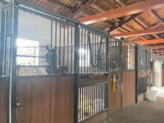 -北京群众马术培训基地