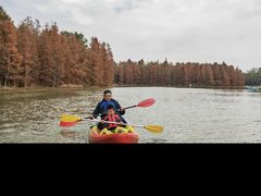 -上海海湾国家森林公园