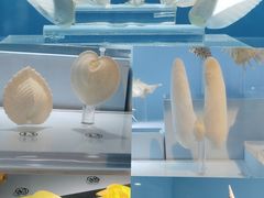 -温州博物馆