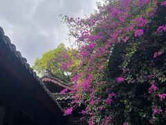 -成都杜甫草堂博物馆