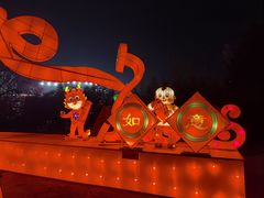 -北京石景山游乐园