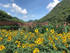 -广州市石门国家森林公园