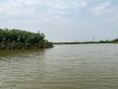 -宁波杭州湾国家湿地公园