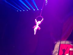 -珠海横琴长隆《卡卡虎奇遇记》