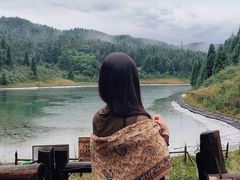 -武陵山森林公园