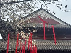 -长春观