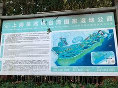 -吴淞炮台湾湿地森林公园烧烤区