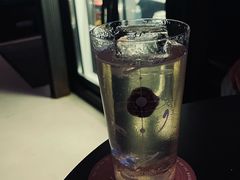 -MEDISN·药厂