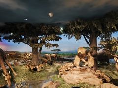 -国家自然博物馆