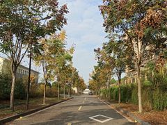 -杭州学军中学海创园学校