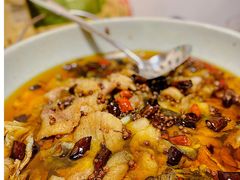 沸腾江团鱼-沸腾鱼家(大尧三路店)