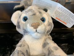 -ZOO COFFEE动物园咖啡(望京锐创店)