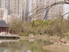 -堤角公园