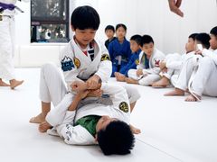 -菠萝格斗巴西柔术训练馆