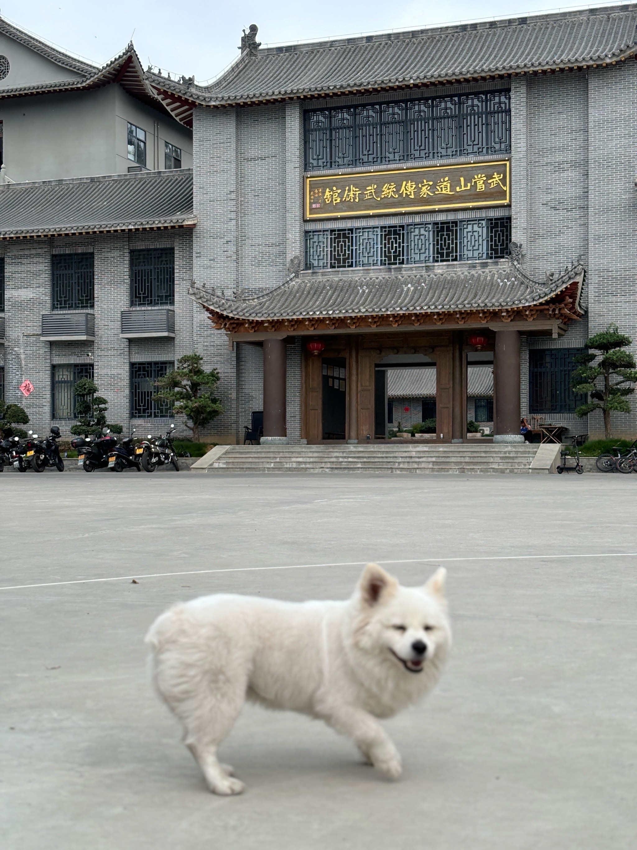 武当山道教武术院图片