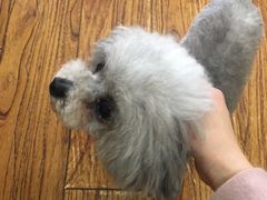 -志龙皇冠吃货椰子铺