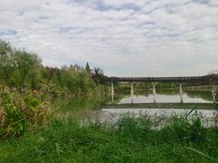 -昆山城市生态森林公园