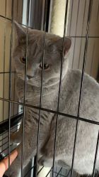 -飛凡TATTOO纹身•原创