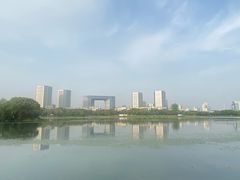 -渤公岛生态公园
