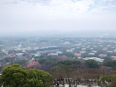 -上海佘山国家森林公园西佘山园