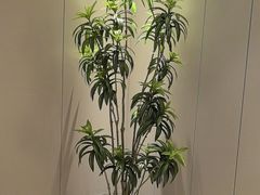 -东方威尼斯温泉酒店