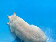 -泉城欧乐堡海洋极地世界