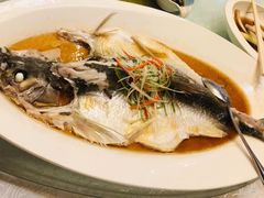 清蒸白水鱼-淮扬韵.淮扬味道