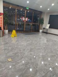 -碧莲盛·不剃发植发