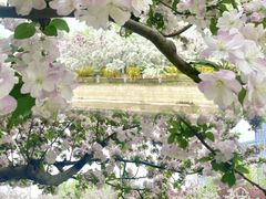 -元大都城垣遗址公园