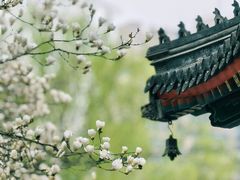-北京艺术博物馆(万寿寺)