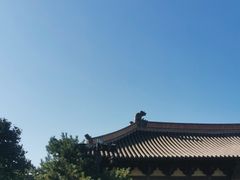 -善化寺