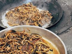 -鲤鱼塘农家山庄