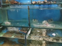 水产区-小郭私房菜·海肠捞饭店(学士街店)