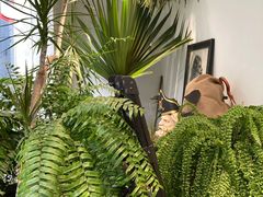 -甲乙果 美术书法(通州校区)