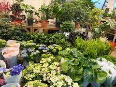 -双季花艺园艺市场(浦东店)