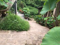 -远山有窑