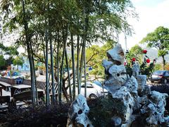 -呼吸森林·生态农庄农家乐私房菜