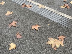 -好乐迪量贩KTV(春熙路香槟广场店)