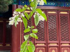 -大钟寺古钟博物馆