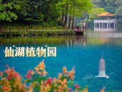 -深圳仙湖植物园