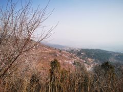 -北京西山国家森林公园