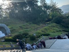 -庐山风景名胜区-东林大佛