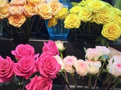 -Olé精品超市(上海港汇恒隆店)