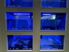 -七采菌园·野生菌石锅鱼(环城北路店)