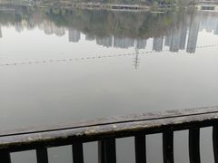 -重庆彩云湖湿地公园