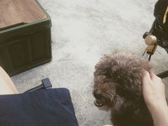 -Again Coffee Roaster(香蜜湖店)