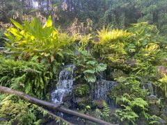 -深圳仙湖植物园