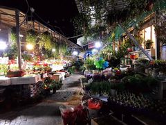 -曲阳花鸟市场(曲阳路店)