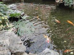 -广州白天鹅宾馆